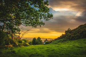 green-trees-under-blue-and-orange-sky-during-sunset-1107717